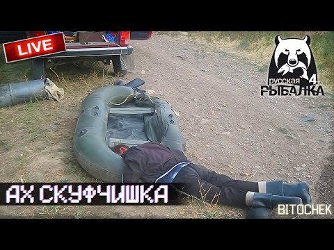 Видео: ⚡Bitochek: Русская рыбалка 4  (Заказ песен)