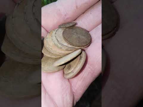 Видео: Канал часть третья.