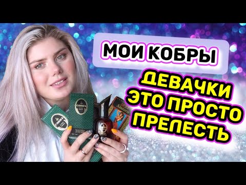 Видео: СНОВА ЛЮБИМАЯ ДЕШЁВАЯ ПАРФЮМЕРИЯ! ПАРФЮМЕРНЫЙ СНОБИЗМ