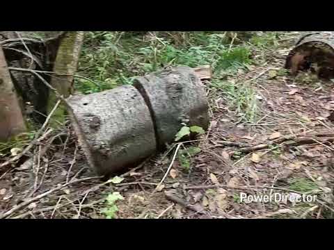 Видео: 4 октября 2025 г.