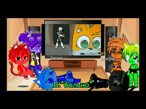 Видео: Реакция котов на меня два