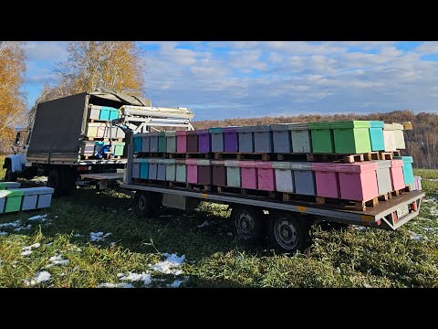 Видео: Прицеп с изилоадером от "SibZavod22"