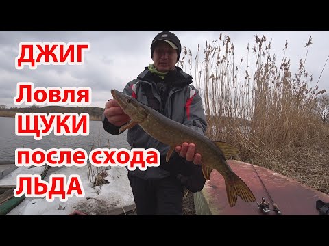 Видео: Ловля щуки на силиконовые приманки рыбалка на джиг
