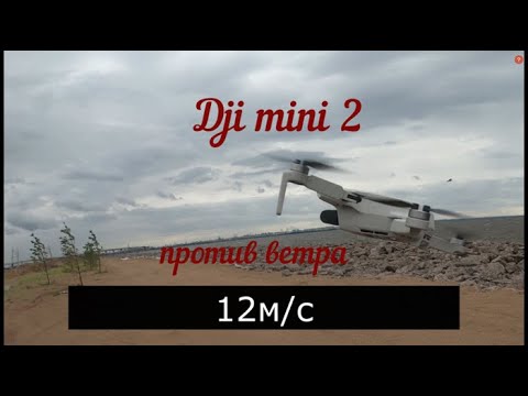 Видео: Dji mini 2 в ветреную погоду БОЛЕЕ 12м/с. Врезался в чайку