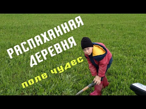 Видео: КОПАЕМ ЦАРСКИЕ МОНЕТЫ/РАСПАХАННАЯ ДЕРЕВНЯ/СТАРОЕ УРОЧИЩЕ/В ПОИСКАХ КЛАДА И СТАРИНЫ/Пермский край