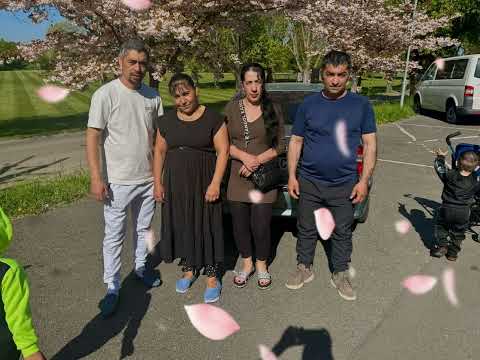 Видео: Музиканти із ардова