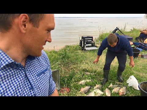 Видео: КЛЕВАЛИ ЛАПТИ И ТУТ ... ! РЫБАЛКА У ТРАВЫ в хорошей компании!