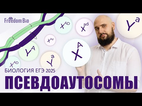 Видео: ПСЕВДОАУТОМОСНОЕ и ГОЛАНДРИЧЕСКОЕ наследование |Генетика| ЕГЭ БИОЛОГИЯ 2025|Freedom|