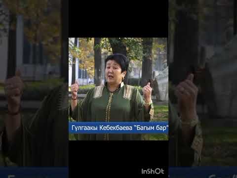 Видео: 30 октября 2025 г.