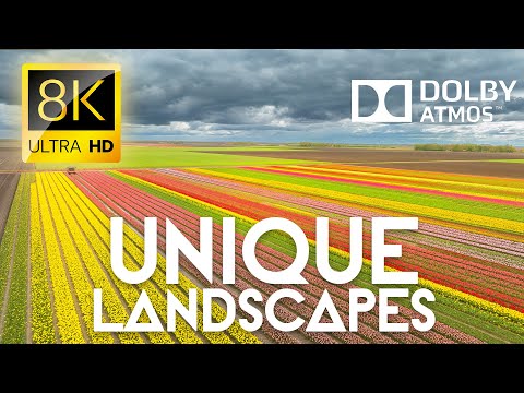 Видео: Самые Уникальные Пейзажи Планеты: Путешествие 12K Timelapse 8K VIDEO #8K