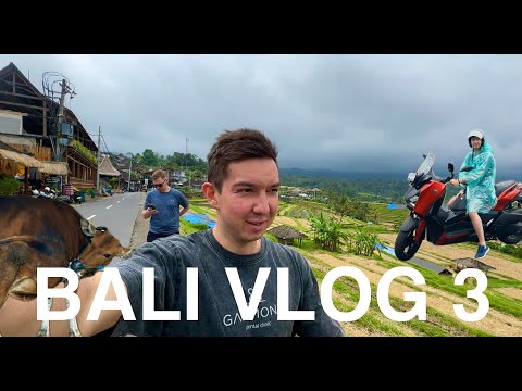 Видео: BALI VLOG 3. ОБЗОР БАЙКА. ОБМАНУЛИ С СИМ-КАРТАМИ. РИСОВЫЕ ПОЛЯ. ВОДОПАД.  ЗАПУСКАЕМ ЗМЕЕВ