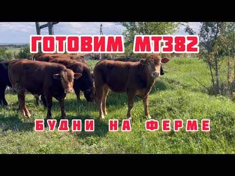 Видео: Будни на ферме. Готовимся к сенокосу
