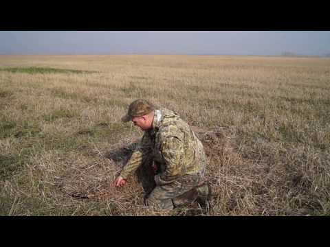 Видео: Охота на гуся. Маскировка. От Жени с канала ОХОТА МОЁ ХОББИ