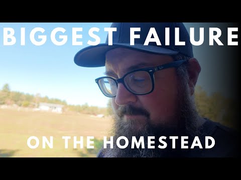 Видео: КАК ВСЕ ПОШЛО НЕ ТАК НА НАШЕМ УЧАСТКЕ | ЭТО МОЖЕТ СТАТЬ НАШЕЙ САМОЙ БОЛЬШОЙ НЕУДАЧЕЙ