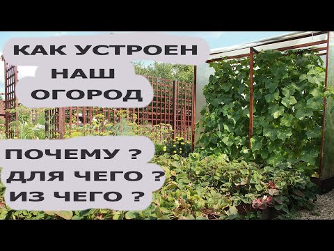 Видео: Подробный обзор нашего огорода. Грядки, дорожки, теплица, компостник.