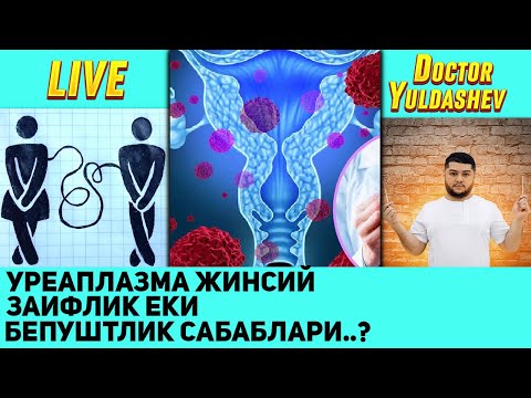 Видео: Хавфли жинсий инфекциялар// Уреаплазма