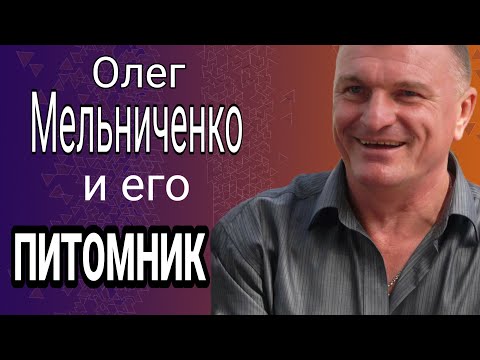 Видео: Аlabai / Заводчики собак / Знаменитый кировоградский питомник