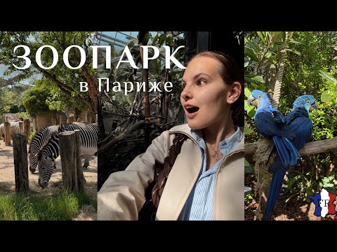 Видео: VLOG || Парижский зоопарк😻/ Сколько стоит?