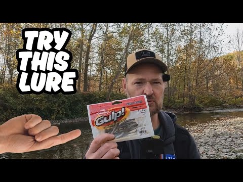 Видео: Как ловить голавля