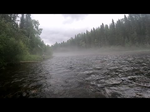 Видео: Мы опять на рыбалке. Хариус.