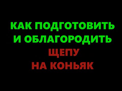 Видео: Как подготовить дубовые чипсы (щепу) к настаиванию