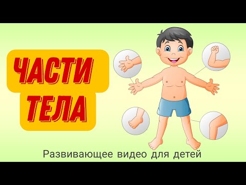 Видео: 🧍‍♂️УЧИМ ЧАСТИ ТЕЛА | Части тела для детей | Развивающее видео для детей