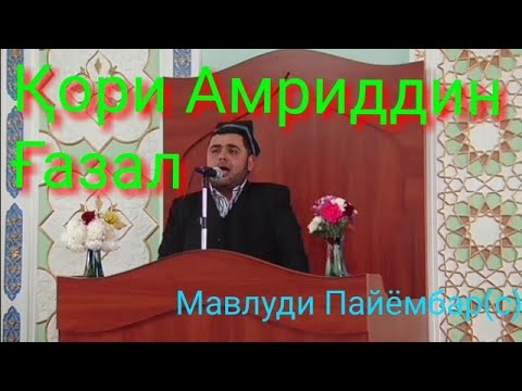 Видео: Кори Амриддин.Газал. Мавлуди Пайёмбар (с)