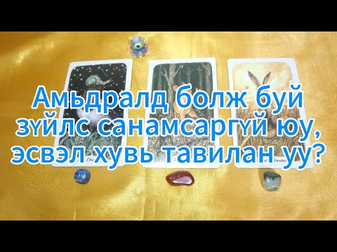 Видео: Амьдралд болж буй зүйлс санамсаргүй юу, эсвэл хувь тавилан уу? +energy check