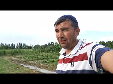 Видео: Ошкавок гуллади 2022. 06. 19 июнь .