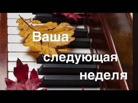 Видео: Ваша следующая неделя  23-02 ноября 🍁🔮✨☀️🔥💝🌈😚 
