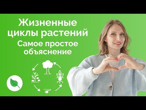 Видео: Жизненные циклы растений. Самое простое объяснение для ЕГЭ по Биологии