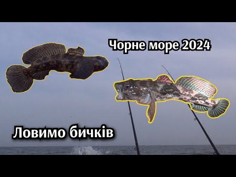 Видео: Чорне море 2024.Рибалка на бичка з пірсу.