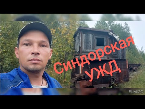 Видео: Синдорская узкоколейная железная дорога
