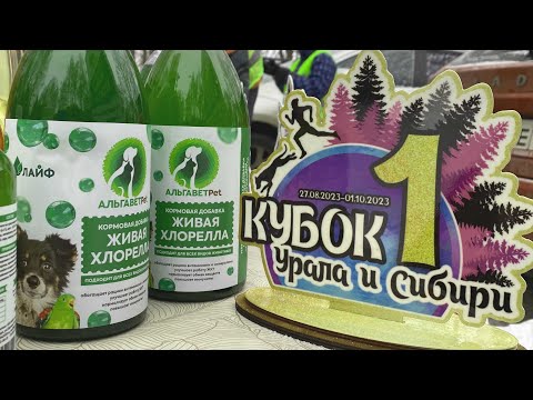 Видео: КАК ПРОИЗВОДИТ ХЛОРЕЛЛУ КОМПАНИЯ "НЕО ЛАЙФ"?