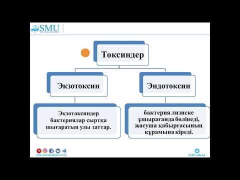 Видео: №1 тақырып   Инфекция 1