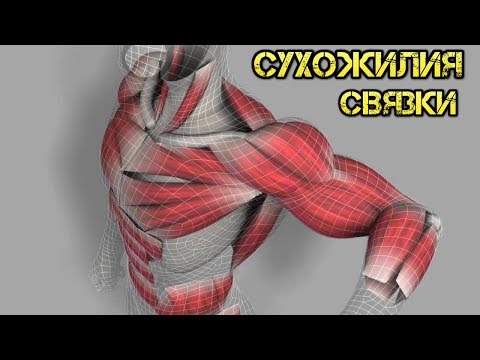 Видео: Как укрепить связки и сухожилия, избежать травм? тренировки, питание, добавки
