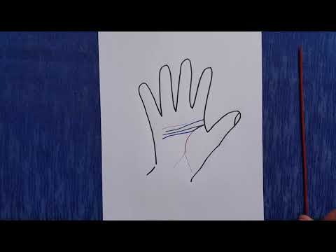 Видео: Начало линии головы. Часть 2. ВАЖНО. Хиромантия