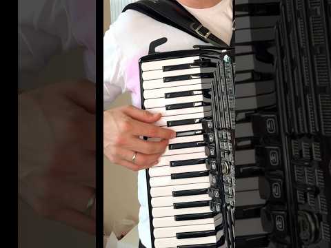 Видео: Самая вирусная песня года pedro pedro на баяне урок #accordion #аккордеон #music #shorts #video