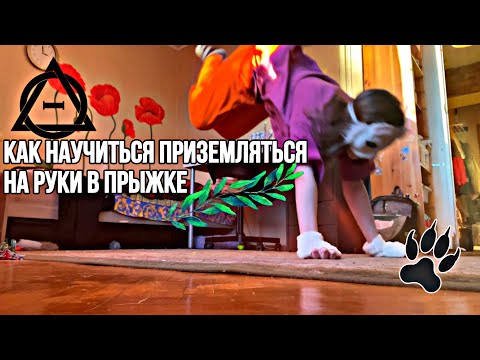 Видео: КАК НАУЧИТЬСЯ ПРИЗЕМЛЯТЬСЯ НА РУКИ В ПРЫЖКЕ🌿🐾