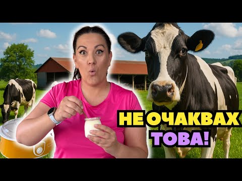 Видео: Направих 3 вида кисело мляко у дома и само едно беше перфектно! (Тест на Yogurella от Ariete)