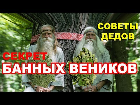 Видео: СЕКРЕТЫ банных ВЕНИКОВ | Советы старого банщика | Как связать и как запарить банный веник