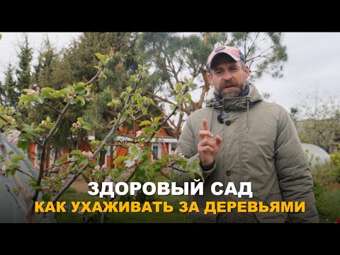Видео: ЗДОРОВЫЙ И ДОЛГОВЕЧНЫЙ САД. Чем важны приствольные круги для деревьев и кустарников. Уход за садом.