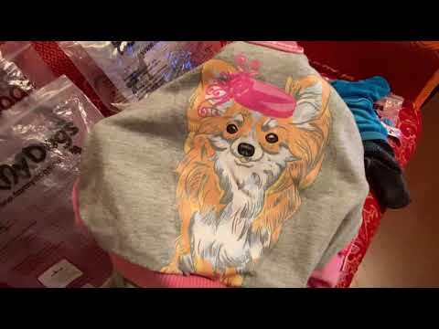 Видео: Распаковка посылки с одеждой For my dogs для пушистиков.