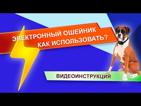 Видео: Электронный ошейник для дрессировки собак. Как пользоваться? Видеоинструкция. RT-880