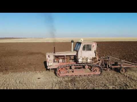 Видео: Два трактора Т4 (Алтаец) Пашут поле