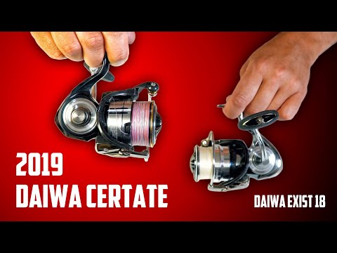 Видео: Лучшая катушка для спиннинга 2019? Обзор Daiwa Certate LT 19 - Daiwa Exist на минималках!