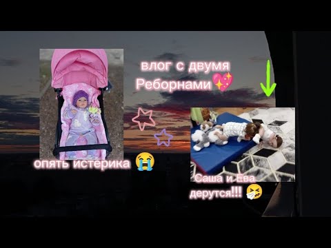 Видео: влог с двумя реборнами 🎀 прогулка🌷 сходили в магазин 😌 Ева и Саша подрались! 😯 истерика у Саши🍃😭