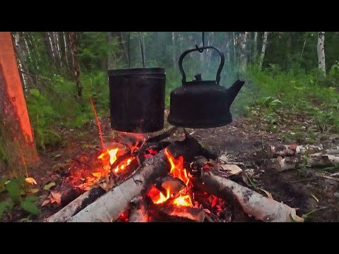 Видео: Уехали с ночёвкой на таёжную речку. Рыбалка для души и отдыха! Уха на костре.