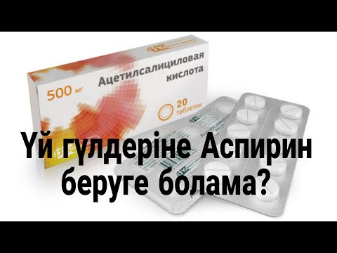 Видео: Үй гүлдеріне Аспирин беруге болама. Аспириннің гүлдерге пайдасы. Гүлдер әлемі. Үй гүлдері күтімі.