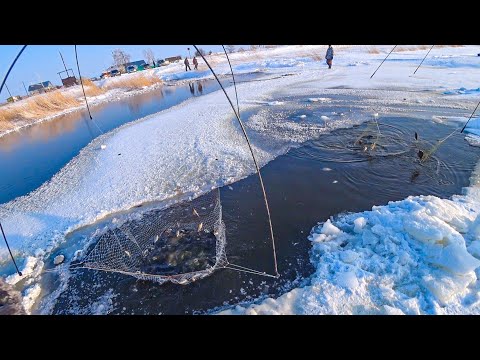 Видео: ТОННЫ РЫБЫ В ЛУЖЕ прямо в ДЕРЕВНЕ!!! Рыбалка на паук подъемник в сибирской глуши. Рыбалка 2024